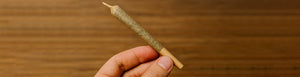 Top 7 Benefits of Pre Rolled Cones for a Smooth Smoking Routine