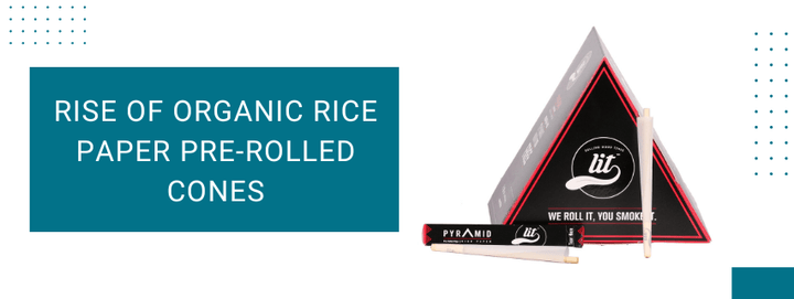 Rise of Organic Rice Paper Pre-Rolled Cones: Natural Choice for Smokers